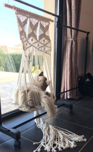 Hamac Bohême pour chat et petit chien dans le salon